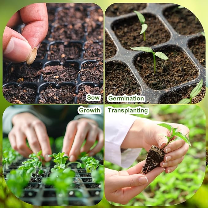 Eccliy 40 Pack 200 Cell Seedling Trays Seed Starter Kit Plant Starter Tray Durable Plastic Gardening Germination with Drain Holes Nursery Pots Mini Propagator for Growing Propagation
