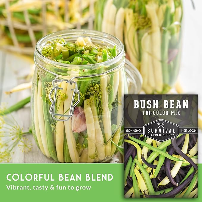 Survival Garden Seeds - Tri-Color Bean Seed for Planting - 3 Packs with Instructions to Plant and Grow Yellow, Purple, and Green Bush Beans in Your Home Vegetable Garden - Non-GMO Heirloom Variety