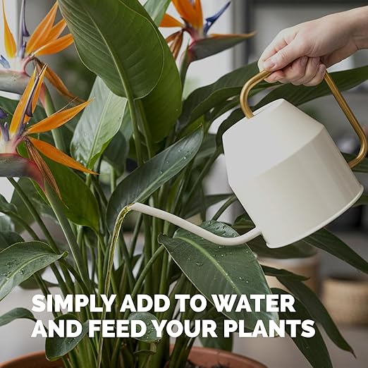 TPS NUTRIENTS Bird of Paradise Fertilizer for All Strelitzia Plants, Liquid Plant Food, 32 oz (1 Quart)