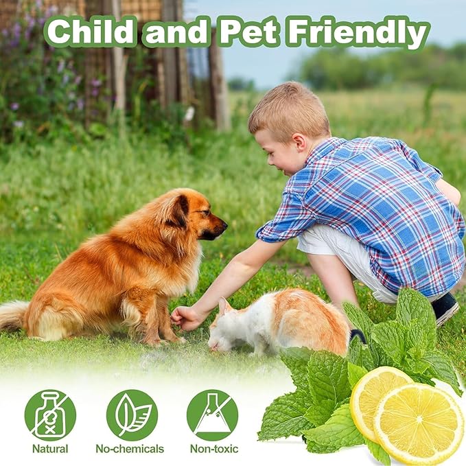 Cat Repellent Outdoor to Keep Cats Away, Natural Peppermint Oil Cat Deterrent Outdoor and Indoor, Keep Cats Out of Yard Permanently, Protect Your Yard and Furniture (Green,10 Count (Pack of 1))