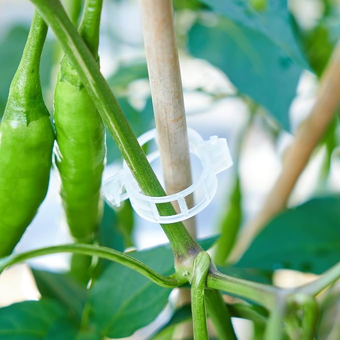 300Pcs Garden Vine Plant Support Clips,Plastic Fixing Clips for Securing and Training Climbing Plants,Tomatoes,Grapes,Vine Vegetables and Potted Plant (300, White)