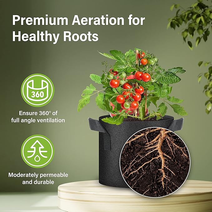 HealSmart Plant Grow Bags 3 Gallon, Tomoato Planter Pots 10-Pack with Handles, Aeration Nonwoven Fabric, Heavy Duty Gardening Planter for Vegetable, Herbs and Flowers, Black