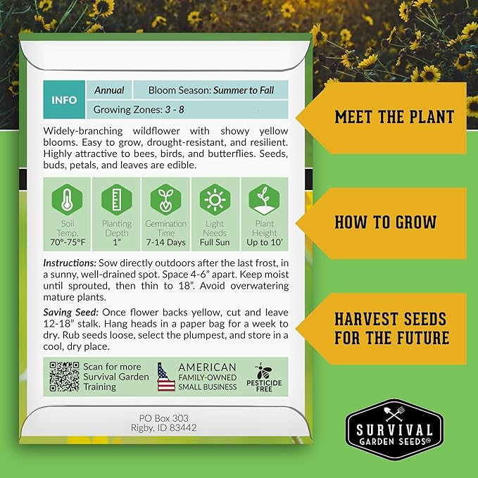 Common Sunflower (Helianthus annuus) Seeds for Planting | Giant Bird & Pollinator Magnet | Fast-Growing Native Wildflower - Survival Garden Seeds - 1 Pack