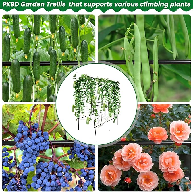 Tall Garden Arch Trellis for Climbing Plants Outdoor, 7.5 ft Tall Polyethylene-Coated Stainless Steel Garden Arch for Climbing Vine Vegetable/Fruit/Flower, Cucumber Trellis for Raised Bed, Black