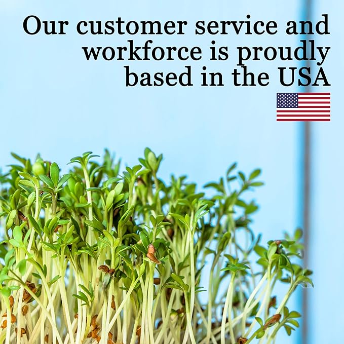 10-Pack 1010 Garden Growing Trays Without Drain Holes - 10" x 10" Plastic Plant Trays No Holes - Wheatgrass Sprouting Tray, Microgreens Seed Tray, Hydroponic Trays, Nursery Flats, Greenhouse Supplies