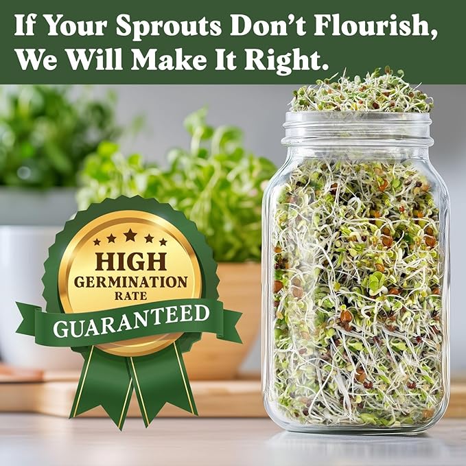 Seedboy Organic Non-GMO Sprouting Seeds, Superfood & Protein Blend - 2 Pack Bundle - USA Grown Sprouting & Microgreens Seeds - Two 8 oz Bags Makes 12 Quarts / 36 Servings (Superfood/Protein)
