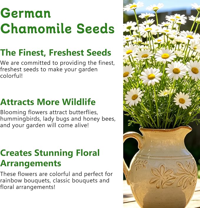 LUOJIBIE German Chamomile Seeds, 60,000+ Chamomile Flower Seeds Bulk for Planting Outdoor Indoor Garden, Heirloom & Non-GMO Matricaria Chamomilla/Recutita Herb Seeds, Easy to Grow