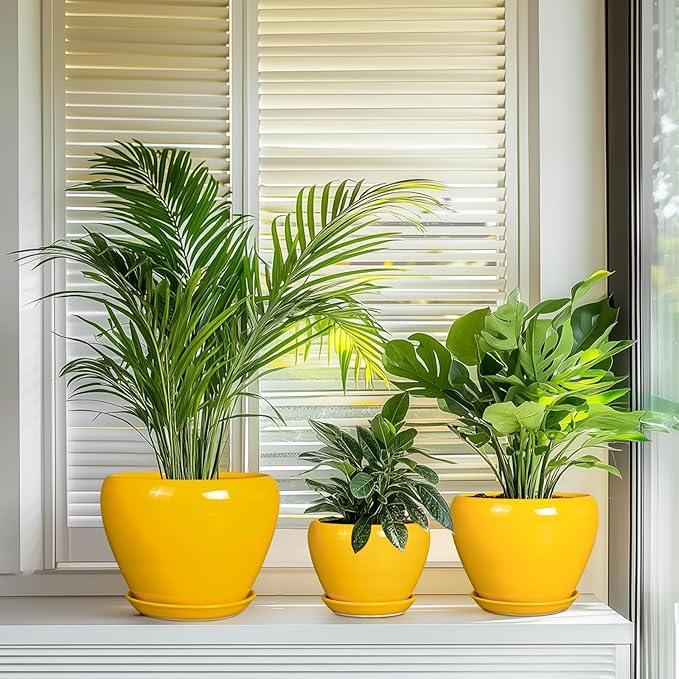 Ceramic Planters Set of 3 - Modern Round 10+8+6 Inch Plant Pots with Drainage Holes and Plant Trays for Indoor Outdoor Flowers, Decorative Garden Room Home Decor, Housewarming Gifts, Yellow