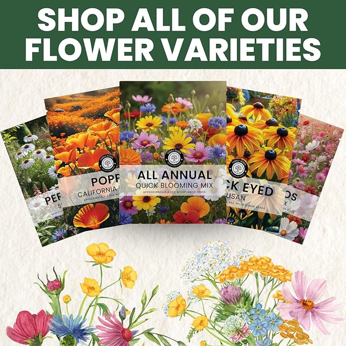 All Annual Quick Blooming Mix - 3,000 Flower Seeds for Planting - Wildflower Mix - 5 Gram Pouch