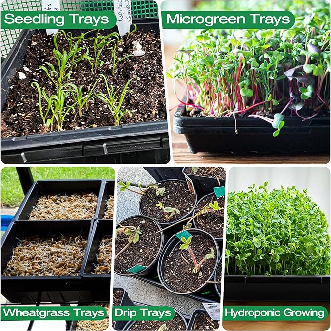ZJP 20 Pack Extra Thick 1020 Heavy Duty Seed Starter Trays - No Holes, Reusable, 2.44 in Deep, Plastic Plant Growing Trays for Seedlings, Microgreens,and Propagation Sprouting in Garden, Greenhouse