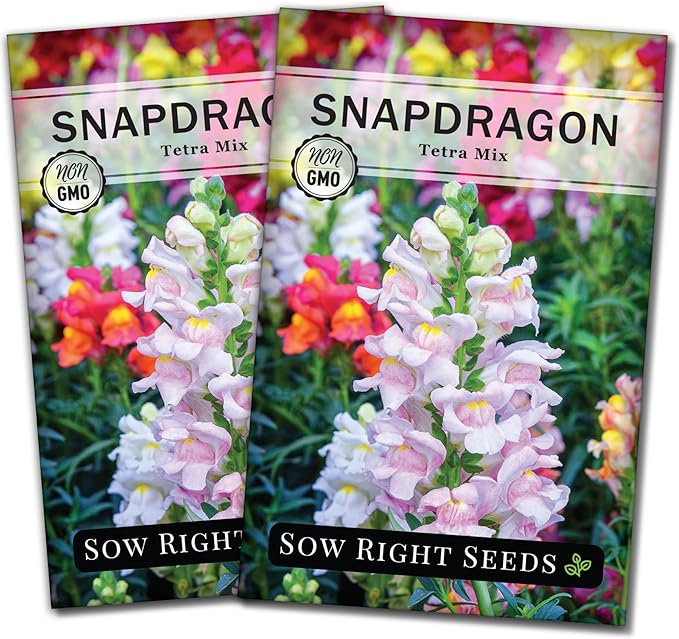 Sow Right Seeds - Tetra Mix Snapdragon Flower Seeds for Planting - Non-GMO Heirloom Packet with Instructions to Grow - Fragrant Annual Flower Spikes in a Mix of Colors - Half Tall for Front Beds (2)
