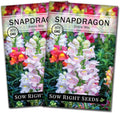 Sow Right Seeds - Tetra Mix Snapdragon Flower Seeds for Planting - Non-GMO Heirloom Packet with Instructions to Grow - Fragrant Annual Flower Spikes in a Mix of Colors - Half Tall for Front Beds (2)
