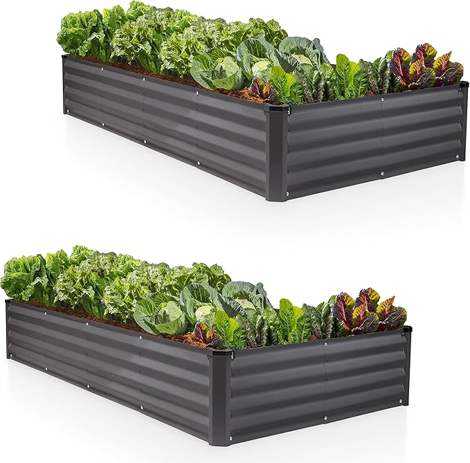 Plant & Plot Galvanized Raised Garden Beds Outdoor // 8×4×1 ft (2-Pack) Planter Raised Beds for Gardening, Vegetables, Flowers // Large Metal Garden Box // Patented Tool-Free Design (Dark Gray)