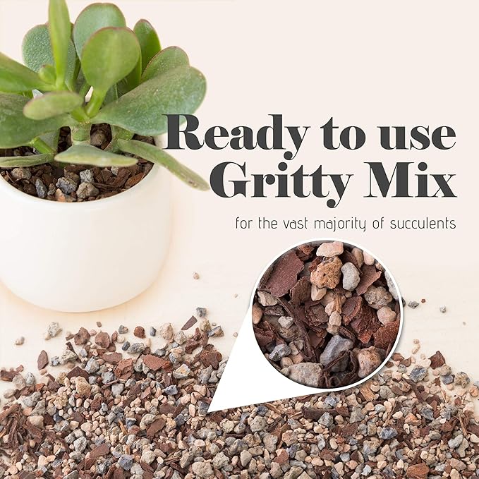 Bonsai Jack Succulent, Cactus and Bonsai Soil - Jacks Gritty Mix - 6 Gallons – Fast Draining – Fight Root Rot – Optimized pH