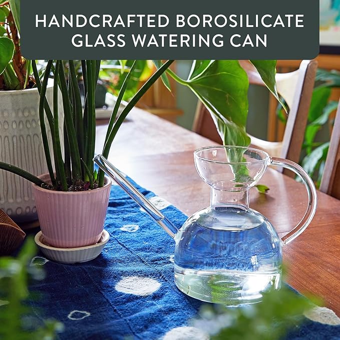 Modern Sprout Plant Watering Can - Handcrafted from Borosilicate Glass - Long Spout Vessel for Indoor Plants - 32 Oz Capacity - Multipurpose Watering Can and Flower Vase - Gift for Mother's Day(Clear)