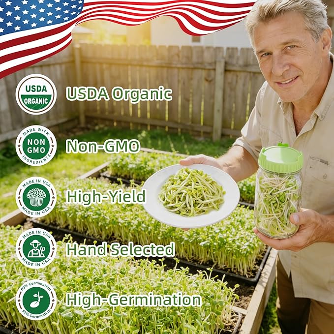 Organic Mung Bean Sprout Seeds (16 oz), Certified Non-GMO, Heirloom Seeds, Premium Mung Bean Sprouting Seeds for Sprouting and Microgreens, High Yield High Germination, Resealable Bag