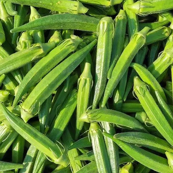 Mix Okra Seeds for Planting, 300pcs Non-GMO Heirloom Okra Vegetable Seeds, Vegetables Plants Fresh Food Plants Home Garden for Outdoors Indoors