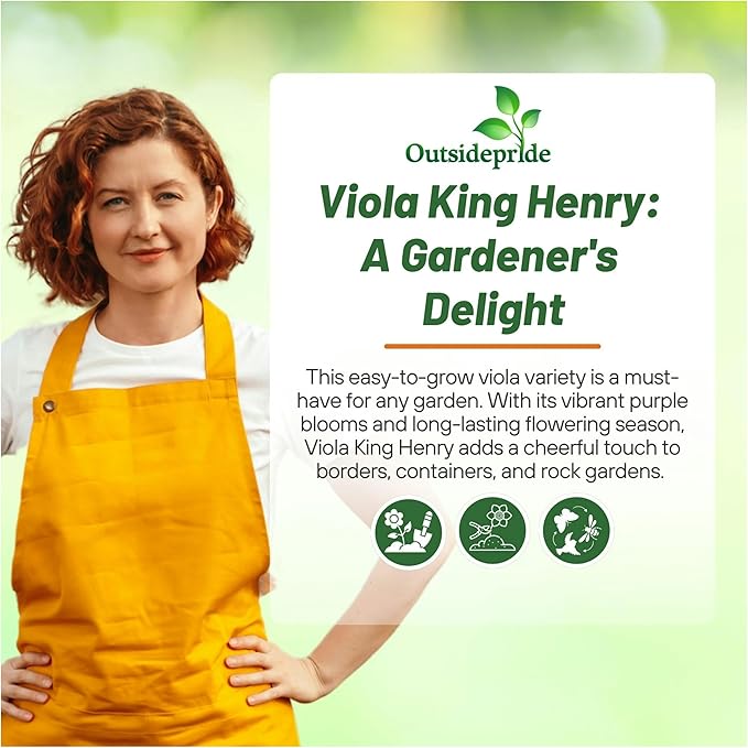 Outsidepride King Henry Viola Pansy Seeds for Planting - 2000 Pcs. Perennial, Cold-Hardy & Pollinator Friendly Flowers with Fragrant Blooms for Garden Beds, Borders & Container Displays