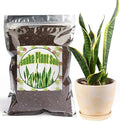 Doter Premium Snake Plant Soil Mix 1qt, Indoor Plants Potting Mix for All Potted Snake Plants, Promote Healthy Growth and Easy Care, black