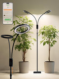 Smart Grow Lights for Indoor Plants,48W 2-Head Plant Light with Auto-Timer, Full Spectrum LED Grow Light, Adjustable Height & Stepless Dimming,Plant Assistant Suitable for Most Plants (Black, 48W)