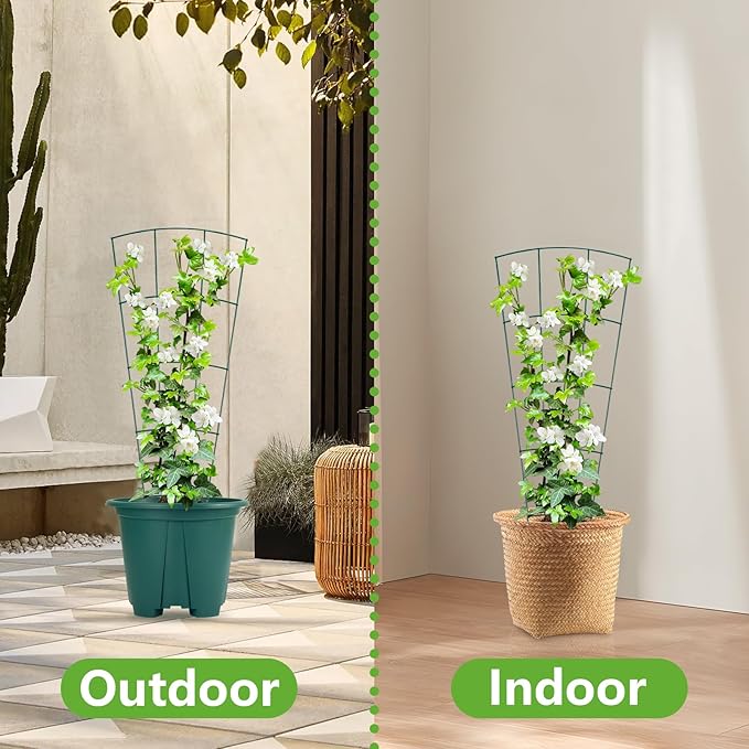 6-Pack Indoor Plant Trellis - 24 Inches, Heavy-Duty Metal for Climbing Houseplants, Flowers, Vines, and Ivy