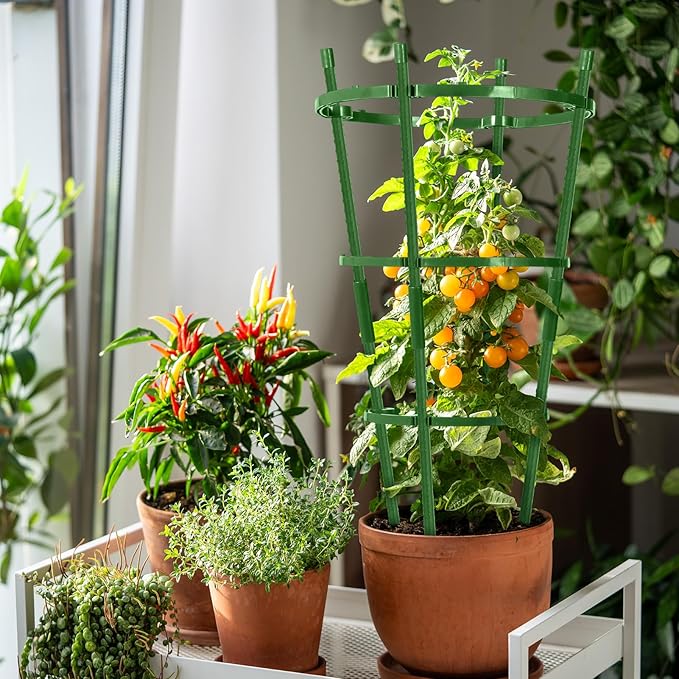 2-Pack 24 Inches Tomato Cages for Garden, Tomato Cage, Tomato Plant Support, Heavy-Duty Tomato Trellis with Height Adjustable Rings for Garden Climbing Plants with Twist Tie & Gloves