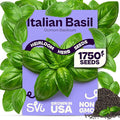 SVI 1750 Italian Basil Seeds (Ocimum basilicum) – Large Leaf Sweet Genovese Basil Seed Packets –Non GMO Italian Herbs, Heirloom Herb Seeds for Outdoor & Indoor Herb Garden, Containers