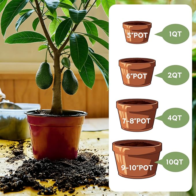 Avocado Soil 4qt, 100% Natural Organic Potting Soil for All-Stage Avocado Tree Growth