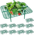 GOONMILL 10 Pack Strawberry Plant Support, Strawberry Planting Stand, Keeping Strawberry Plants Clean, Strawberry Growing Racks, Strawberry Growing Frame