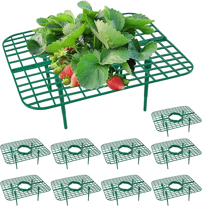 GOONMILL 10 Pack Strawberry Plant Support, Strawberry Planting Stand, Keeping Strawberry Plants Clean, Strawberry Growing Racks, Strawberry Growing Frame