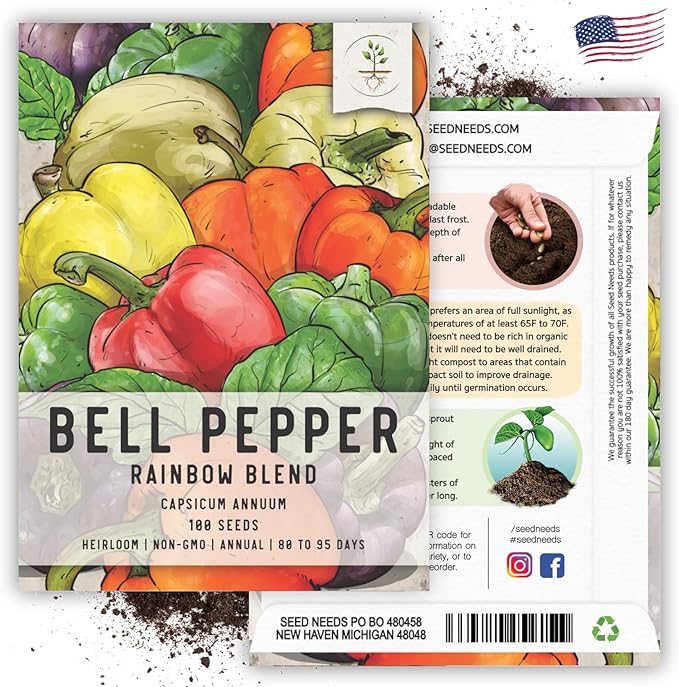 Seed Needs Rainbow Bell Pepper Seeds for Planting Mild Peppers - Non-GMO Heirloom & Untreated Veggie Seed to Plant a Home Grown Outdoor Vegetable Garden (1 Pack)
