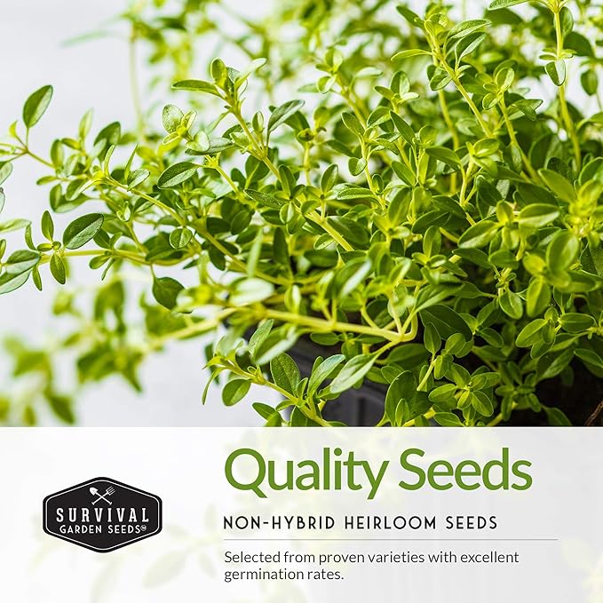 Survival Garden Seeds - Italian Herb Collection Seed Vault - Basil, Oregano, Thyme, Sage, Flat Leaf Parsley - Non-GMO Heirloom Varieties of Culinary & Medicinal Herbs for Any Garden or Homestead