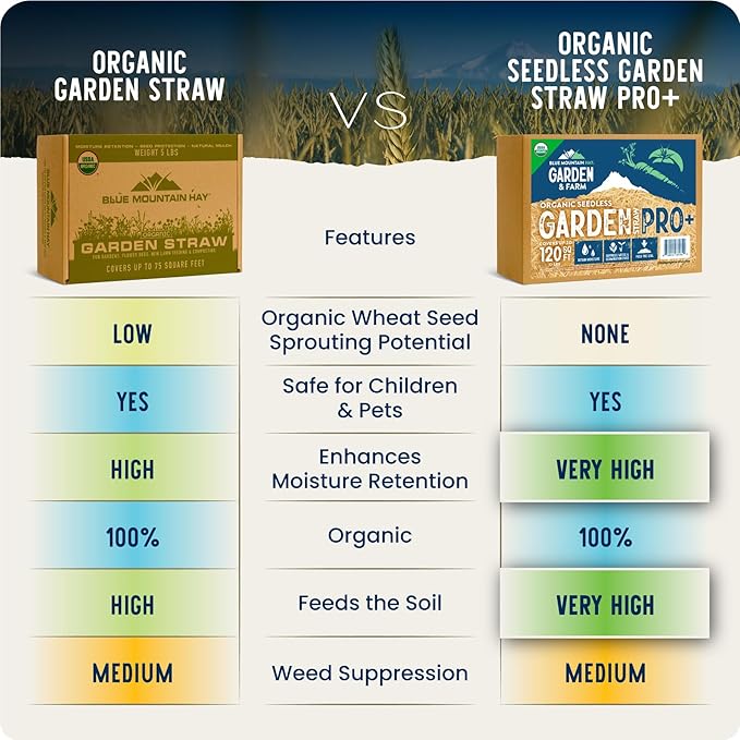 Blue Mountain Hay Organic Garden Straw (25 lb) - Natural Mulch for Gardening, Flower Beds & Landscaping, New Lawn Grass Seeding, Compost, Raised Garden Bed, Cat Grass & Grass Seed