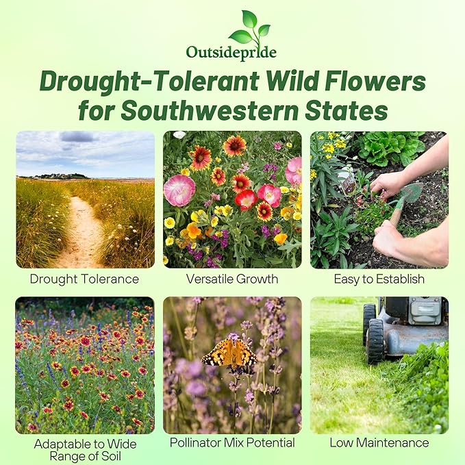 Outsidepride Southwest Wild Flower Seed Mix - 5 lbs. Heat & Drought Tolerant Premium Blend of Annual & Perennial Wildflower Seeds for Planting on Outdoor Lawns & Gardens from Spring to Fall
