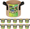 iPower 10-Pack 1 Gallon Plant Grow Bags Thickened Nonwoven Aeration Fabric Container Heavy Duty Durable Pots, Strap Handles for Garden, Tan