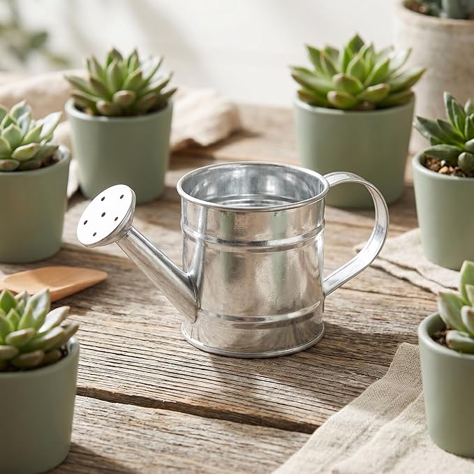 Kisangel 5pcs Mini Watering Cans, Small Watering Can Miniature Metal Water Buckets for Home Decor, Garden Scenes, Photography Props