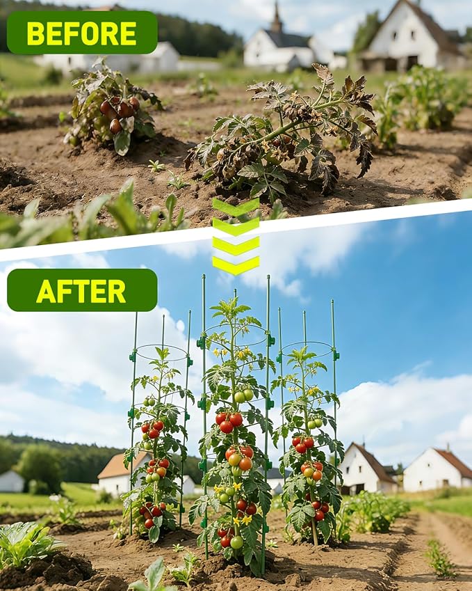 4 Pack Tomato Plant Cages, Adjustable Plant Support with Sliding Clips, 35.4 Inch Metal & Plastic Tomato Trellis for Garden Vegetables