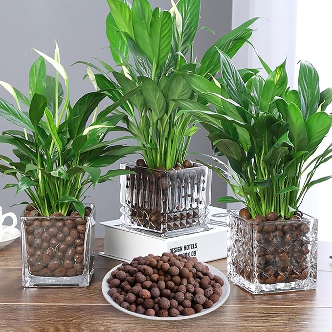 6LBS Leca Expanded Clay Pebbles Hydroponics Supplies for Indoor Garden Plants (6LBS)