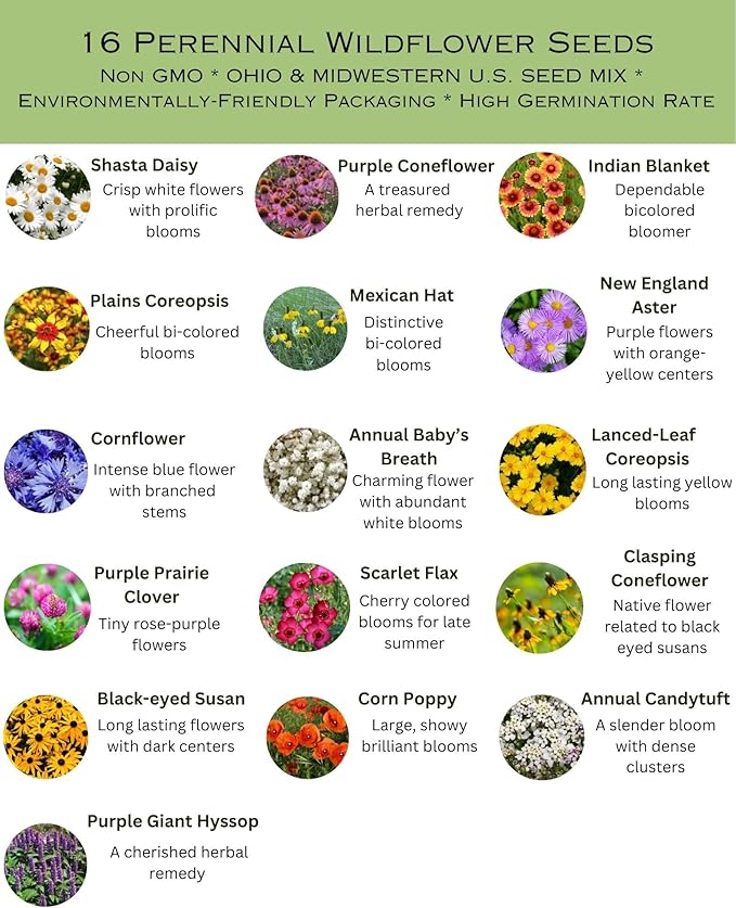 Ohio Bulk Perennial Wildflower Seed Mix 1lb Covers 2,000sq-ft - Attract Pollinators, Multi-Color Blooms - Midwest US Species Plant in Spring/Fall - Earth-Friendly Packaging (1/2 Pound)