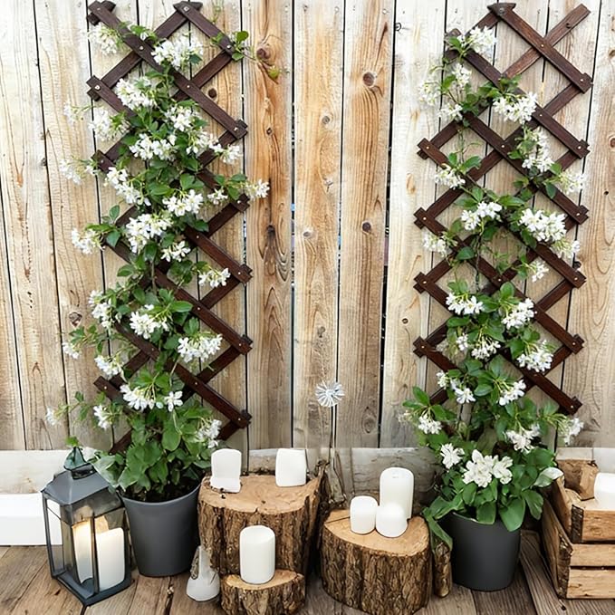 Expandable Garden Trellis, Wooden Lattice Wall Fence Trellis for Climbing Plants Ivy Vine Rose Clematis 13" x 68" for Outdoor Garden Patio Room Decor (1)