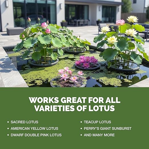Lotus Fertilizer – Fish Safe Liquid Plant Food for Bigger Lotus Blooms & Stronger Roots 8 oz