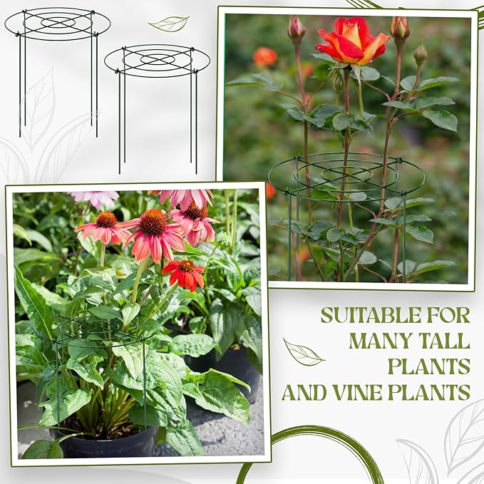 Geelin 24 Pack Peony Cages Bulk 12 x 16'' Peony Cage and Supports for Outdoor Plants Grow Through Heavy Duty Metal Plant Supports Frame Rings Hoops 4 Legs for Flowers Tomato Rose Hydrangea Strawberry