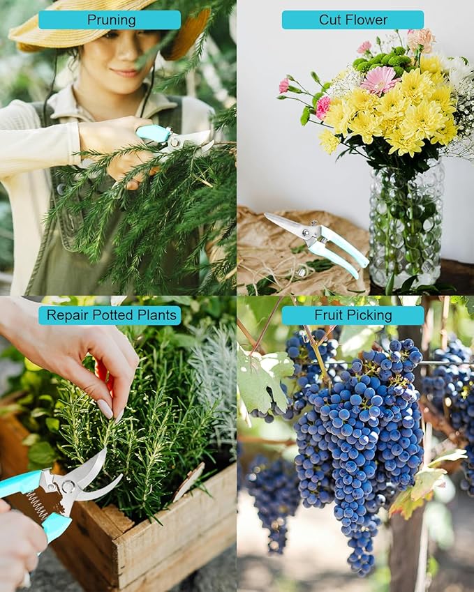 Garden Scissor for Plant, 4 Pcs Floral Scissors, Tip Pruning Shears Bulk for Cutting Flowers, Bonsai, Fruits and Trimming Plants(Blue)
