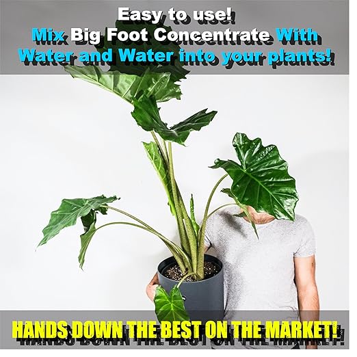 Big Foot Mycorrhizae for Plants, Potted Plants and Gardens - Concentrate Fully Dissolves in Water, Year Round Organic Fertilizer for Root Growth and Healthy Soil - 32 Ounces of Mycorrhizal Inoculant