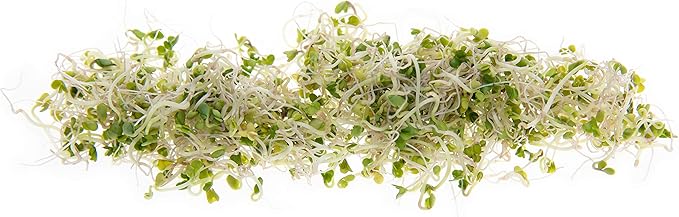 Sulforaphane SPROUTING Seed Mix | Perfect for Sprouting Jars & Seed Sprouters | 5 Varieties of Kale & Broccoli Sprouting Seeds | Non GMO Heirloom Seeds | 1 LB Resealable Bag | Rainbow Heirloom Seed Co