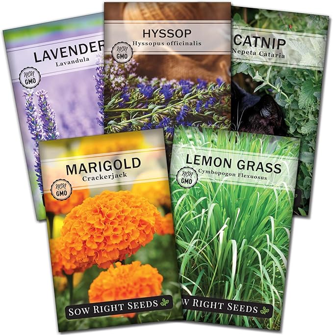 Sow Right Seeds - Insect & Pest Repellent Seed Collection for Planting - Lavender, Catnip, Marigold, Hyssop & Lemon Grass - 5 Packets with Instructions for Home Garden - Natural Pest Solution