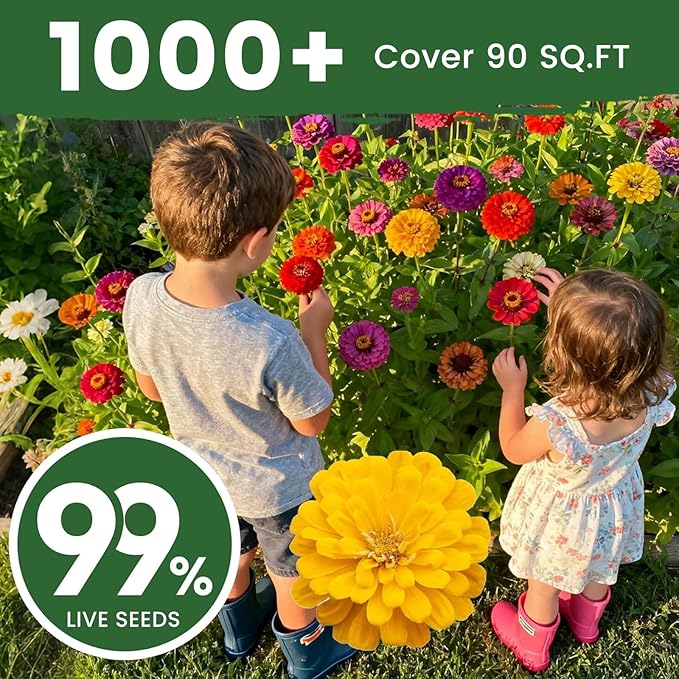 1000+ Zinnia Dahlia Seeds Flower Seeds for 2026 Planting, 0.35 Oz, 5 Varieties (Pink, Yellow, Orange, White, Purple), 10G Mixed Colors and Large Blooms, Open Pollinated - Bulk