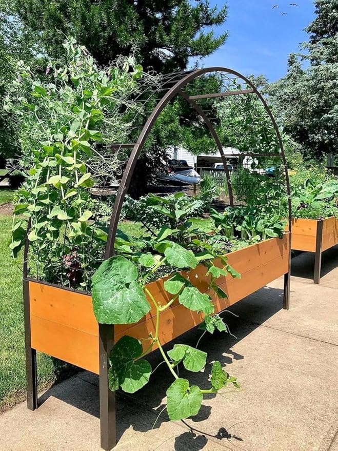 Gardener’s Supply Company Arch Trellis | Garden Arbor fits 2' x 8' Elevated Planter Boxes for Climbing Plants, Vegetables and Flowers | Decorative Outdoor Gardening Landscape