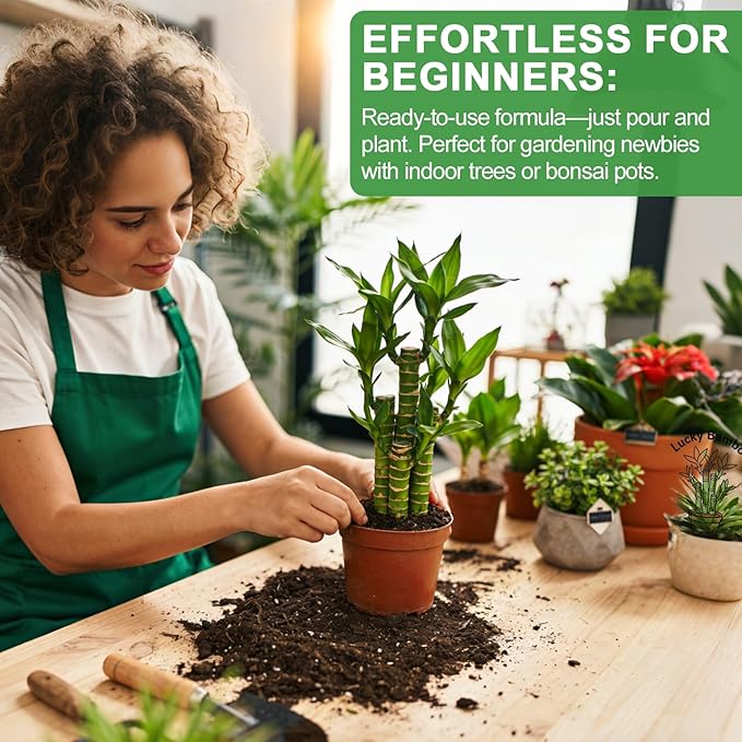 Pure Natural Potting Soil for Lucky Bamboo Plants 2qt- Superior Drainage & Breathability, Ideal Indoor Plant Soil