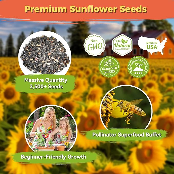 Sunflower Seeds for Planting | Giant Mammoth Sunflower Bulk Packet 3000+ Heirloom Seeds | High Germination, Open Pollinated Sunflower Seeds to Plant for Home Garden, Outdoors & Attracts Pollinators